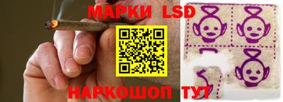 PSILOCYBIN Гатчина