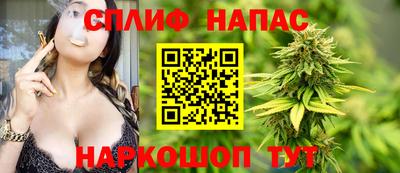 PSILOCYBIN Гатчина