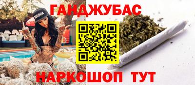 PSILOCYBIN Гатчина