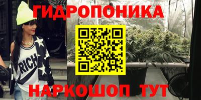 ешки Гай