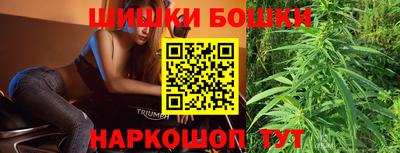 PSILOCYBIN Гатчина
