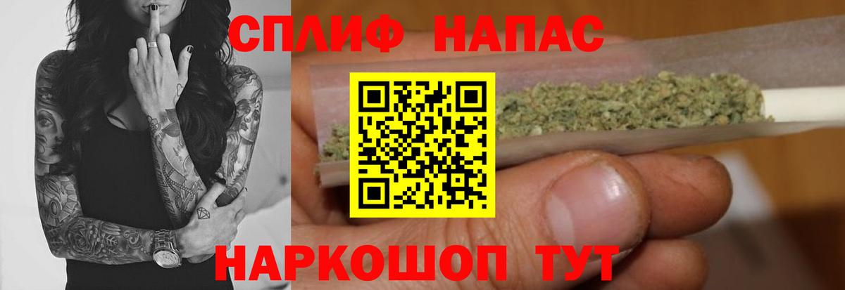 Марихуана конопля  Бошки марихуана план  Вход с VPN  Назрань  Каннабис марихуана 